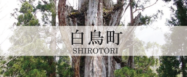 shirotori